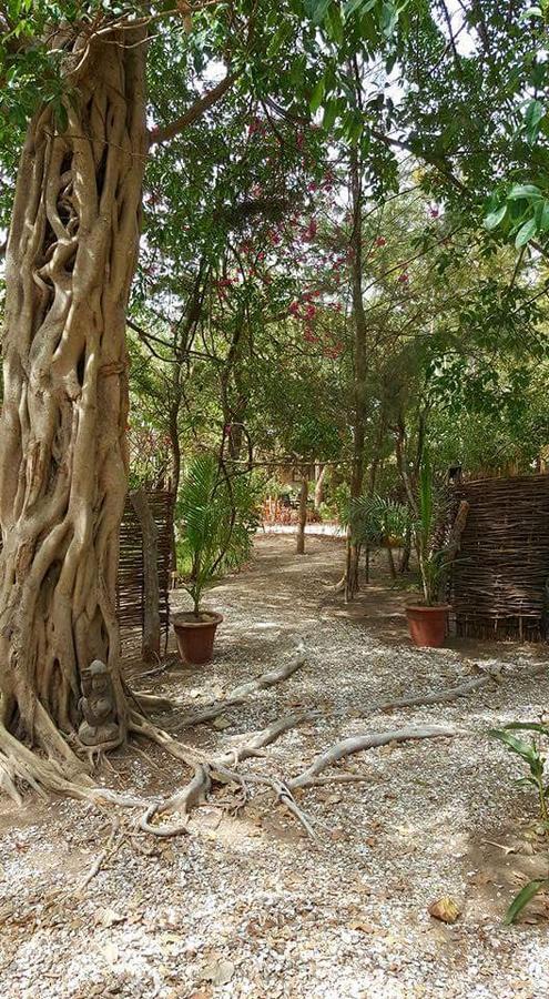 Evergreen Eco Lodge Retreat Tujereng Екстер'єр фото